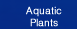 Aquatic Plants